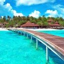 สมาชิกหมายเลข 1015401