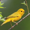 สมาชิกหมายเลข 1904322