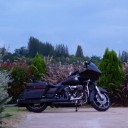 สมาชิกหมายเลข 1904926