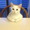 ยังไม่ตั้งชื่อ