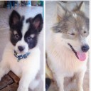 สมาชิกหมายเลข 3114861