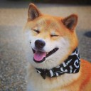 สมาชิกหมายเลข 2715540