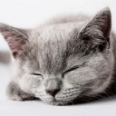 พันราตรี