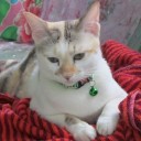 จักรพรรดิดวงใจ