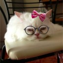 เด็กกองชา