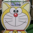 หมีเดินทาง