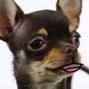 สมาชิกหมายเลข 1475184