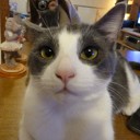 สมาชิกหมายเลข 1581674