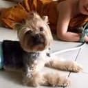 สมาชิกหมายเลข 3115221