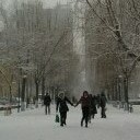 สมาชิกหมายเลข 3569167