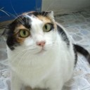 ไม่มีวันไหนที่ปลาคราฟไม่ดื้อ