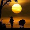 สมาชิกหมายเลข 712516