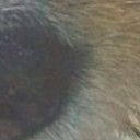 สมาชิกหมายเลข 2698179