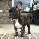 สมาชิกหมายเลข 3115748