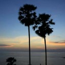 สมาชิกหมายเลข 3584299