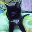 ทะเลยามค่ำคืน