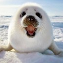 สมาชิกหมายเลข 1186249