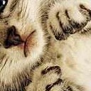 สมาชิกหมายเลข 2306208