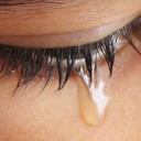 สมาชิกหมายเลข 3116008