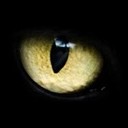 สมาชิกหมายเลข 3584664