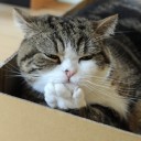 โลกส่วนตัวฉันสูงยิ่ง