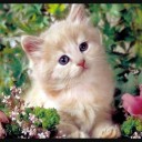 สมาชิกหมายเลข 1066793