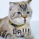 พิคโคโร่ซัง