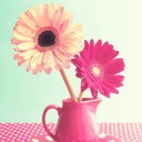 สมาชิกหมายเลข 2215464