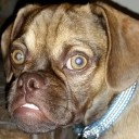 สมาชิกหมายเลข 2366404