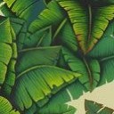 สมาชิกหมายเลข 2697266