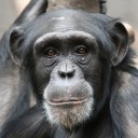 สมาชิกหมายเลข 2698866