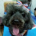 สมาชิกหมายเลข 1287248