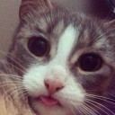 สมาชิกหมายเลข 2699201