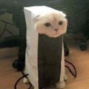 สมาชิกหมายเลข 3117066