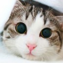 เด็กหญิงอุนลุน