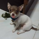 สมาชิกหมายเลข 1495091