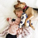 สมาชิกหมายเลข 2306718