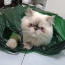 โลกเงียบ