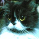 ทำใจนิ่งๆ