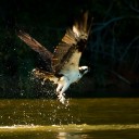 จากภูผาถึงทะเล