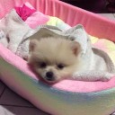 สมาชิกหมายเลข 1187594