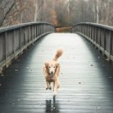 สมาชิกหมายเลข 2371006