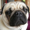 สมาชิกหมายเลข 1889730