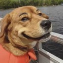 สมาชิกหมายเลข 1856387