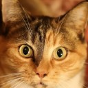 สมาชิกหมายเลข 1590063