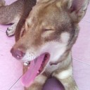 สมาชิกหมายเลข 2234988