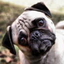 สมาชิกหมายเลข 2307873