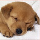 สมาชิกหมายเลข 704548