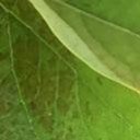 สมาชิกหมายเลข 1590331