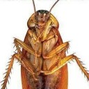 สมาชิกหมายเลข 1908847